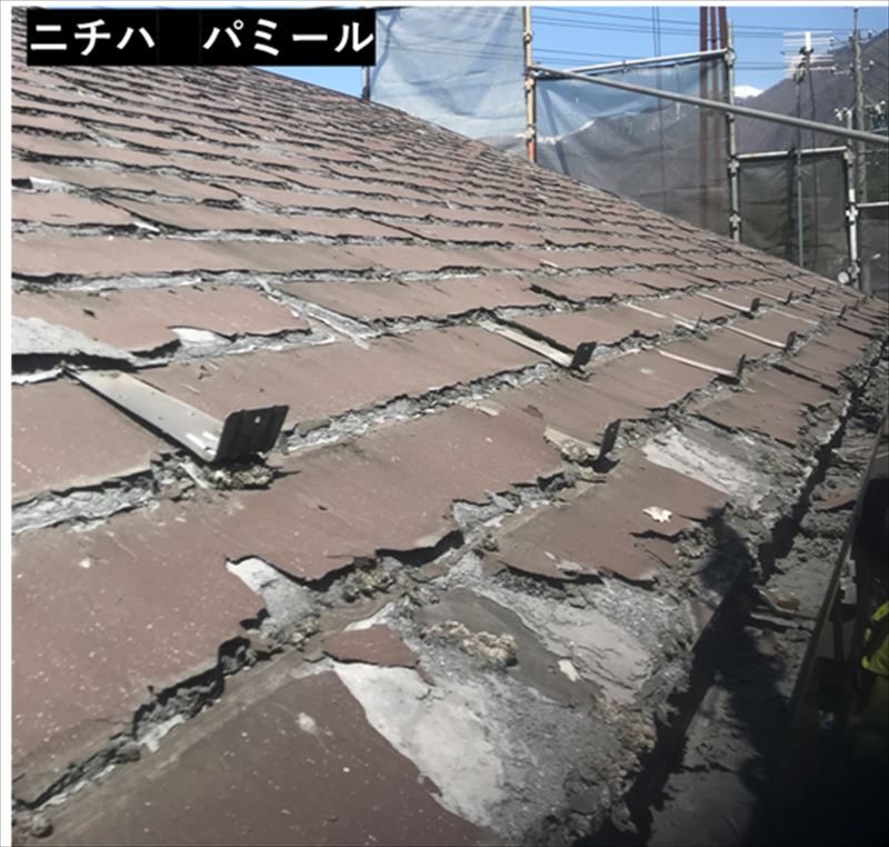 ニチハ　パミール